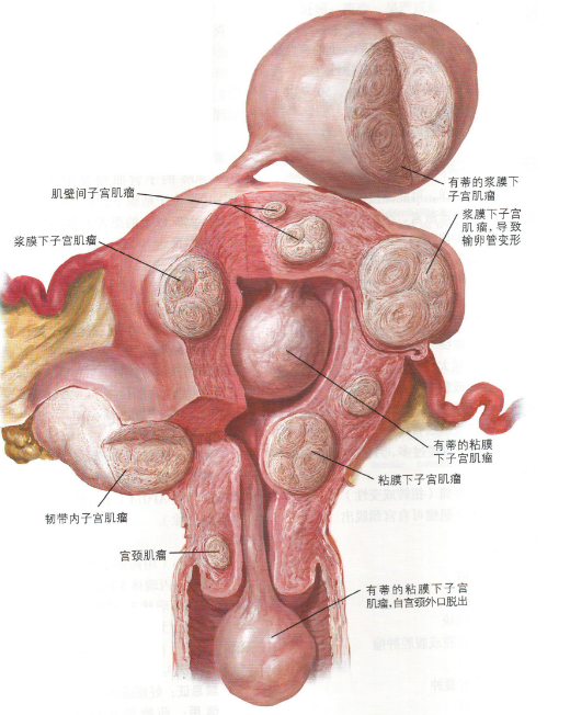 娱乐生活 第25页